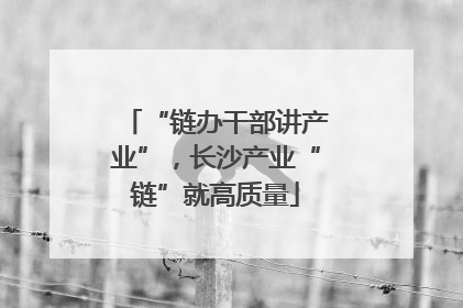 “链办干部讲产业”，长沙产业“链”就高质量